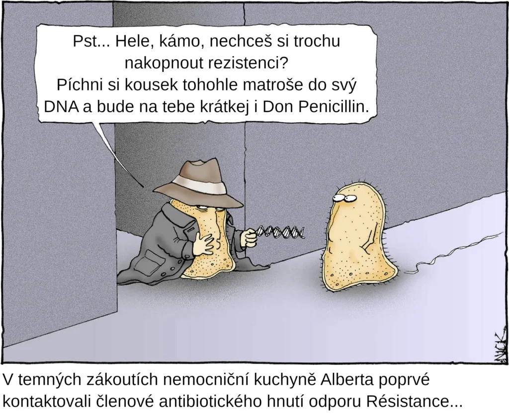 0364 Vytváří si náš organismus rezistenci na antibiotika? 1 0364 f1