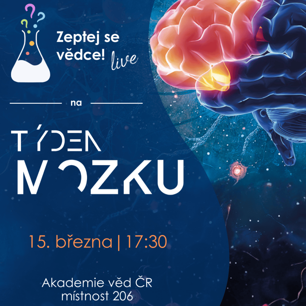 grafika týden mozku
