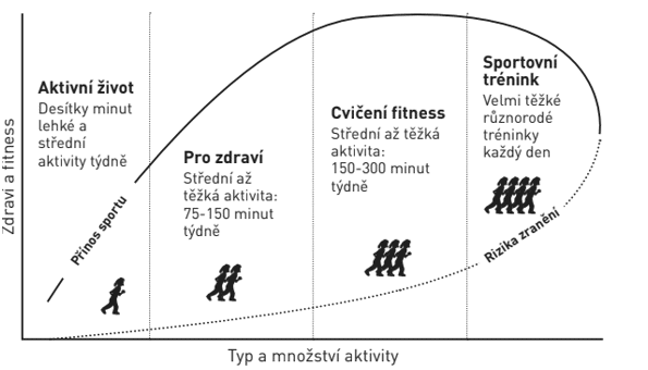 Jaký je dopad maratonu na organismus? 1 0491 f1