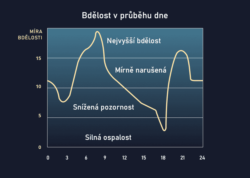 Proč mám nejvíc energie večer i po náročném dnu? 1 1176 f1