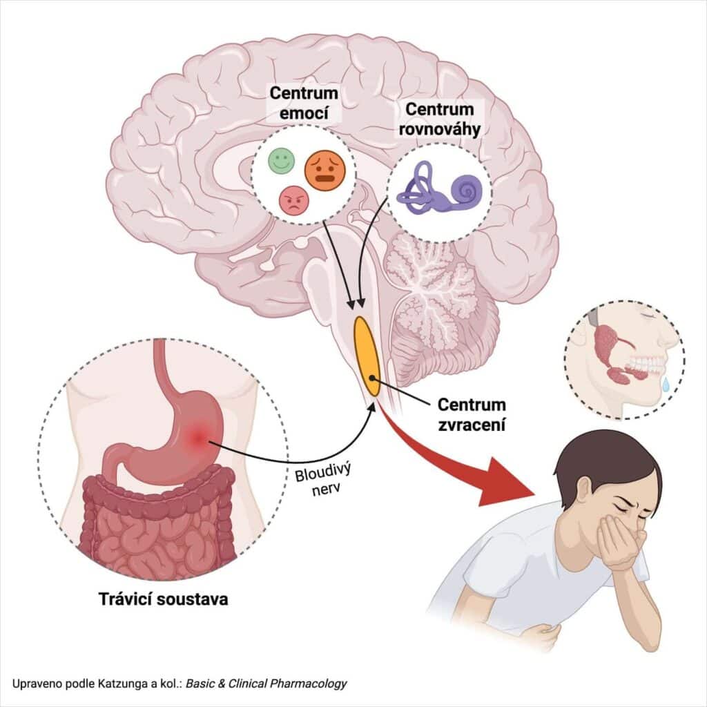 Proč mám jiné sliny před zvracením? 1 0941 f1