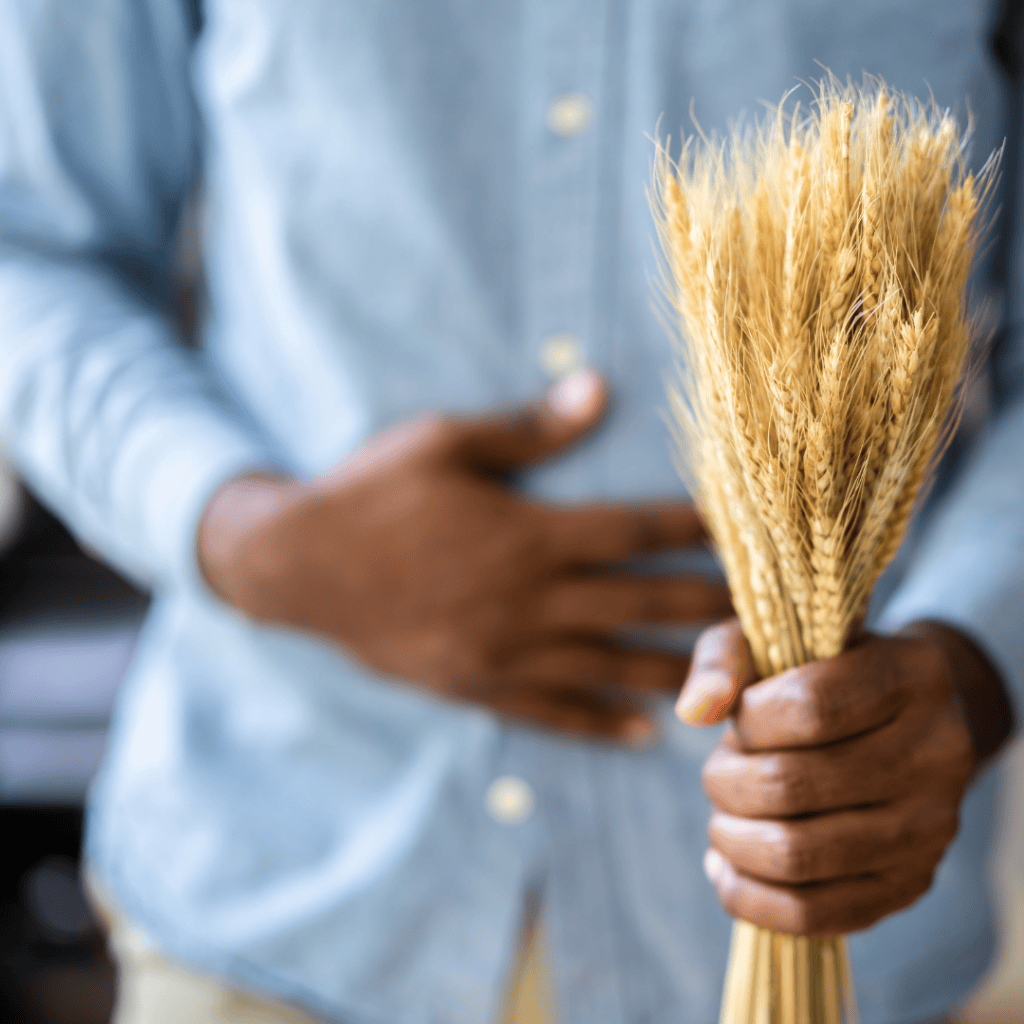 Vývoj celiakie jako onemocnění