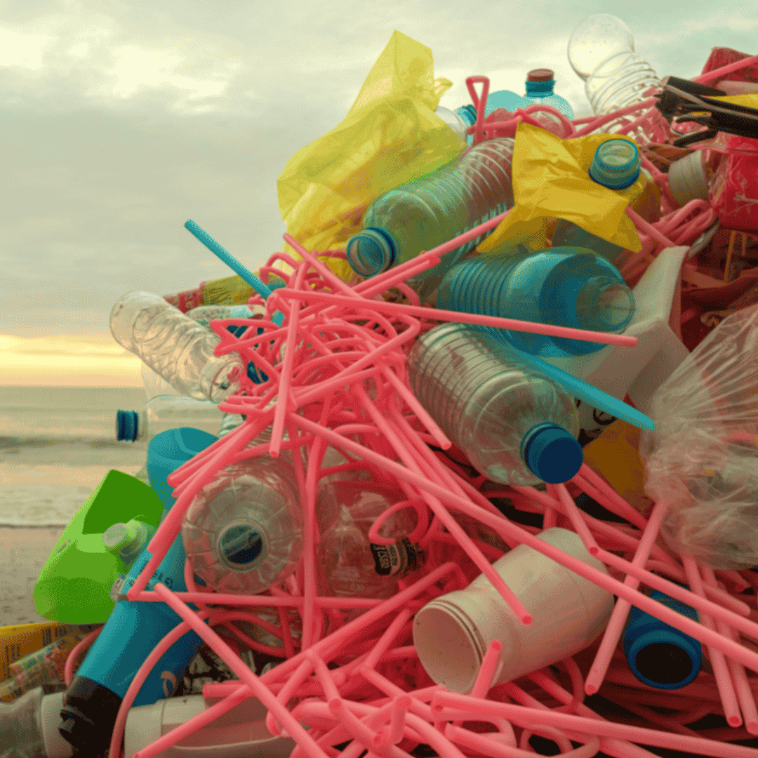 Plastový odpad v přírodě