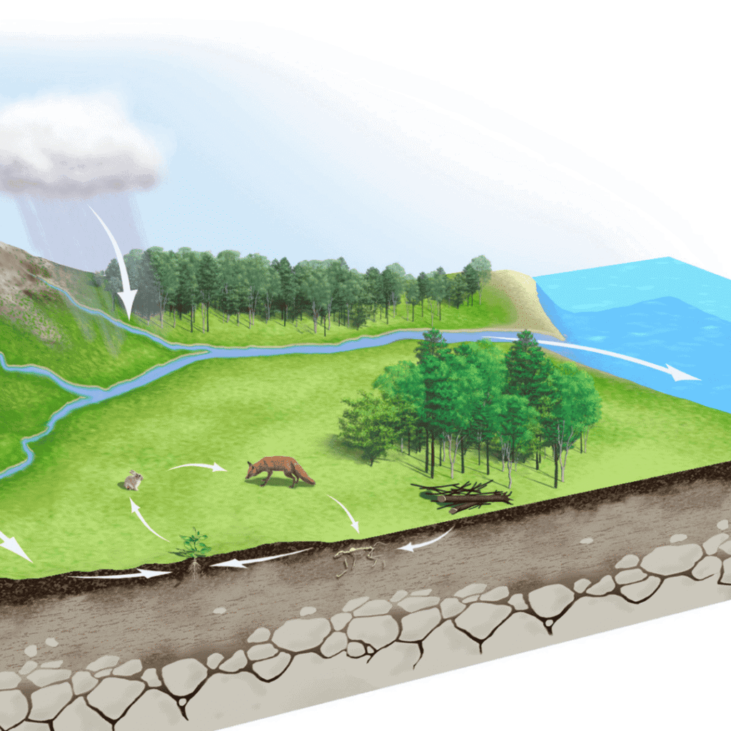 Proč voda v řekách zůstává sladká a v mořích slaná?